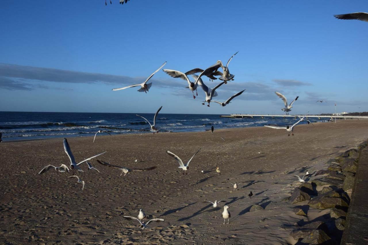 Ponitce Do Węża * Kołobrzeg